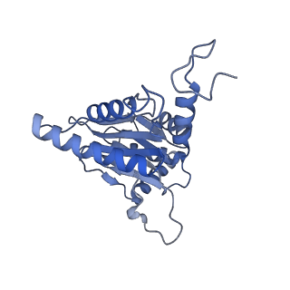 32278_7w3f_J_v1-2
Structure of USP14-bound human 26S proteasome in substrate-engaged state ED1_USP14