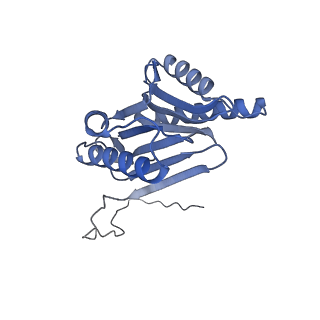 32278_7w3f_O_v1-2
Structure of USP14-bound human 26S proteasome in substrate-engaged state ED1_USP14
