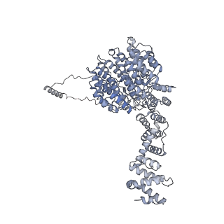 32278_7w3f_U_v1-2
Structure of USP14-bound human 26S proteasome in substrate-engaged state ED1_USP14