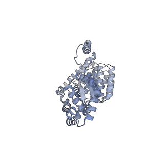 32278_7w3f_V_v1-2
Structure of USP14-bound human 26S proteasome in substrate-engaged state ED1_USP14