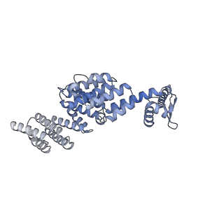 32278_7w3f_X_v1-2
Structure of USP14-bound human 26S proteasome in substrate-engaged state ED1_USP14