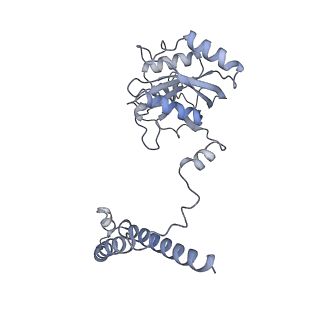 32278_7w3f_c_v1-2
Structure of USP14-bound human 26S proteasome in substrate-engaged state ED1_USP14