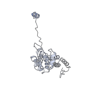 32278_7w3f_d_v1-2
Structure of USP14-bound human 26S proteasome in substrate-engaged state ED1_USP14