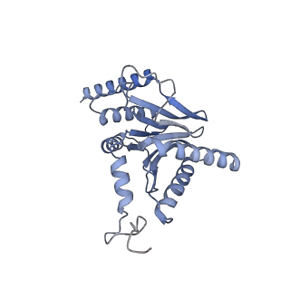 32278_7w3f_i_v1-2
Structure of USP14-bound human 26S proteasome in substrate-engaged state ED1_USP14