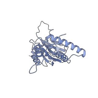 32278_7w3f_j_v1-2
Structure of USP14-bound human 26S proteasome in substrate-engaged state ED1_USP14