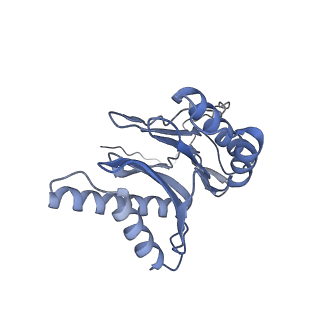 32278_7w3f_o_v1-2
Structure of USP14-bound human 26S proteasome in substrate-engaged state ED1_USP14