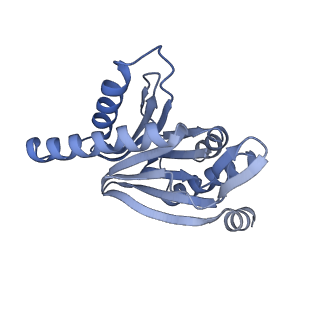 32278_7w3f_r_v1-2
Structure of USP14-bound human 26S proteasome in substrate-engaged state ED1_USP14
