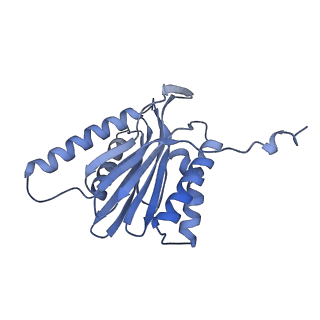 32278_7w3f_t_v1-2
Structure of USP14-bound human 26S proteasome in substrate-engaged state ED1_USP14