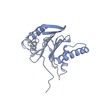 32279_7w3g_S_v1-2
Structure of USP14-bound human 26S proteasome in substrate-engaged state ED2.0_USP14