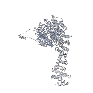 32279_7w3g_U_v1-2
Structure of USP14-bound human 26S proteasome in substrate-engaged state ED2.0_USP14