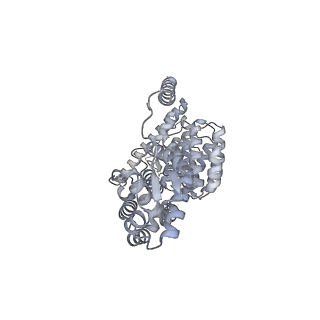 32279_7w3g_V_v1-2
Structure of USP14-bound human 26S proteasome in substrate-engaged state ED2.0_USP14