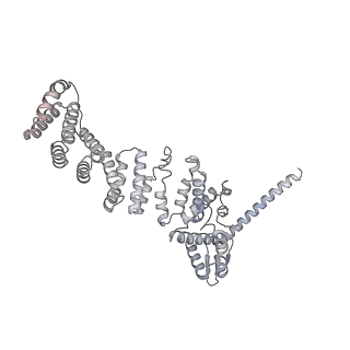 32279_7w3g_W_v1-2
Structure of USP14-bound human 26S proteasome in substrate-engaged state ED2.0_USP14