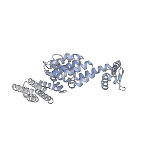 32279_7w3g_X_v1-2
Structure of USP14-bound human 26S proteasome in substrate-engaged state ED2.0_USP14