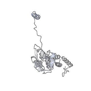 32279_7w3g_d_v1-2
Structure of USP14-bound human 26S proteasome in substrate-engaged state ED2.0_USP14