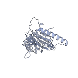 32279_7w3g_j_v1-2
Structure of USP14-bound human 26S proteasome in substrate-engaged state ED2.0_USP14