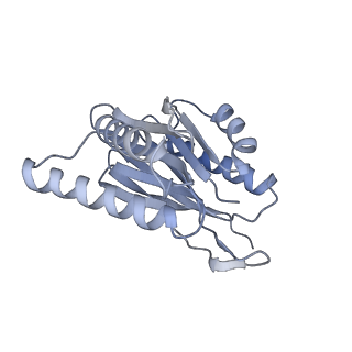 32279_7w3g_q_v1-2
Structure of USP14-bound human 26S proteasome in substrate-engaged state ED2.0_USP14