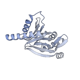 32279_7w3g_r_v1-2
Structure of USP14-bound human 26S proteasome in substrate-engaged state ED2.0_USP14