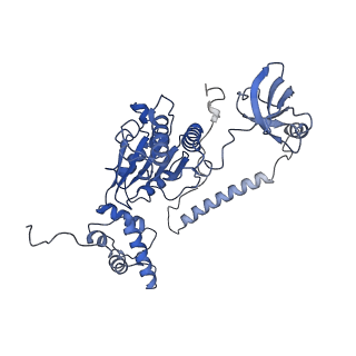 32280_7w3h_B_v1-2
Structure of USP14-bound human 26S proteasome in substrate-engaged state ED2.1_USP14
