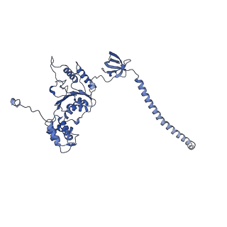 32280_7w3h_C_v1-2
Structure of USP14-bound human 26S proteasome in substrate-engaged state ED2.1_USP14