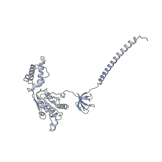 32280_7w3h_E_v1-2
Structure of USP14-bound human 26S proteasome in substrate-engaged state ED2.1_USP14