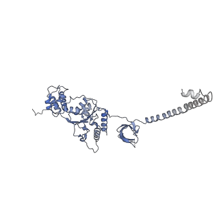 32280_7w3h_F_v1-2
Structure of USP14-bound human 26S proteasome in substrate-engaged state ED2.1_USP14
