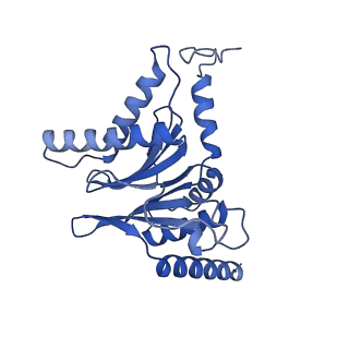 32280_7w3h_I_v1-2
Structure of USP14-bound human 26S proteasome in substrate-engaged state ED2.1_USP14