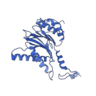 32280_7w3h_L_v1-2
Structure of USP14-bound human 26S proteasome in substrate-engaged state ED2.1_USP14