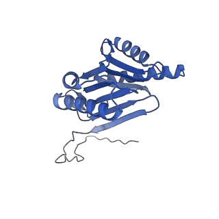 32280_7w3h_O_v1-2
Structure of USP14-bound human 26S proteasome in substrate-engaged state ED2.1_USP14
