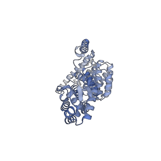 32280_7w3h_V_v1-2
Structure of USP14-bound human 26S proteasome in substrate-engaged state ED2.1_USP14