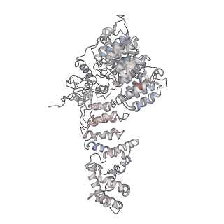 32280_7w3h_f_v1-2
Structure of USP14-bound human 26S proteasome in substrate-engaged state ED2.1_USP14