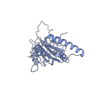 32280_7w3h_j_v1-2
Structure of USP14-bound human 26S proteasome in substrate-engaged state ED2.1_USP14