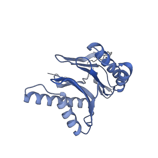 32280_7w3h_o_v1-2
Structure of USP14-bound human 26S proteasome in substrate-engaged state ED2.1_USP14