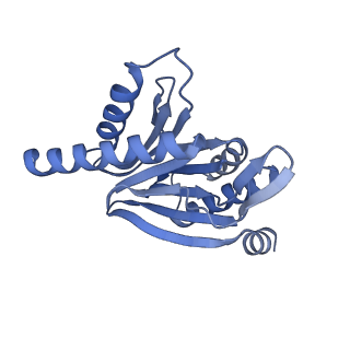 32280_7w3h_r_v1-2
Structure of USP14-bound human 26S proteasome in substrate-engaged state ED2.1_USP14