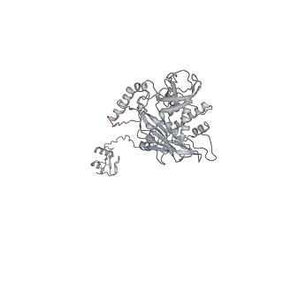 32280_7w3h_x_v1-2
Structure of USP14-bound human 26S proteasome in substrate-engaged state ED2.1_USP14