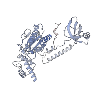 32281_7w3i_B_v1-1
Structure of USP14-bound human 26S proteasome in substrate-inhibited state SB_USP14