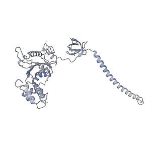 32281_7w3i_C_v1-1
Structure of USP14-bound human 26S proteasome in substrate-inhibited state SB_USP14