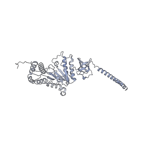 32281_7w3i_D_v1-1
Structure of USP14-bound human 26S proteasome in substrate-inhibited state SB_USP14