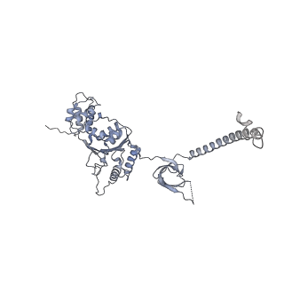 32281_7w3i_F_v1-1
Structure of USP14-bound human 26S proteasome in substrate-inhibited state SB_USP14