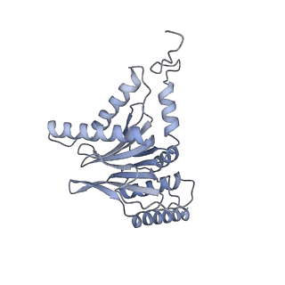 32281_7w3i_I_v1-1
Structure of USP14-bound human 26S proteasome in substrate-inhibited state SB_USP14