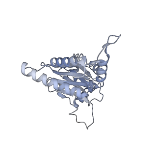 32281_7w3i_J_v1-1
Structure of USP14-bound human 26S proteasome in substrate-inhibited state SB_USP14