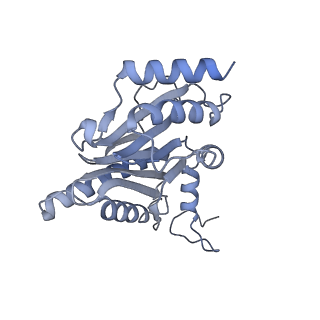 32281_7w3i_M_v1-1
Structure of USP14-bound human 26S proteasome in substrate-inhibited state SB_USP14