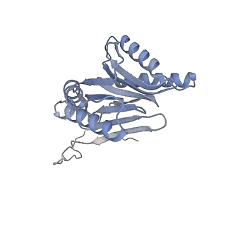 32281_7w3i_O_v1-1
Structure of USP14-bound human 26S proteasome in substrate-inhibited state SB_USP14