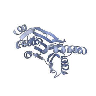 32281_7w3i_R_v1-1
Structure of USP14-bound human 26S proteasome in substrate-inhibited state SB_USP14