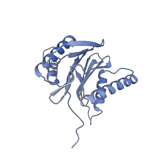 32281_7w3i_S_v1-1
Structure of USP14-bound human 26S proteasome in substrate-inhibited state SB_USP14