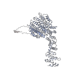 32281_7w3i_U_v1-1
Structure of USP14-bound human 26S proteasome in substrate-inhibited state SB_USP14