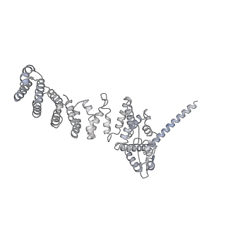 32281_7w3i_W_v1-1
Structure of USP14-bound human 26S proteasome in substrate-inhibited state SB_USP14