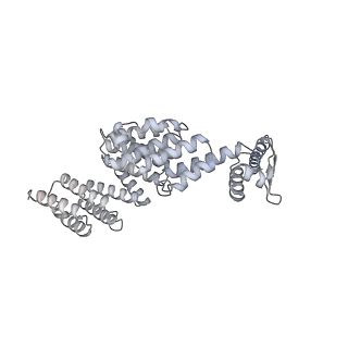 32281_7w3i_X_v1-1
Structure of USP14-bound human 26S proteasome in substrate-inhibited state SB_USP14