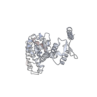 32281_7w3i_Y_v1-1
Structure of USP14-bound human 26S proteasome in substrate-inhibited state SB_USP14