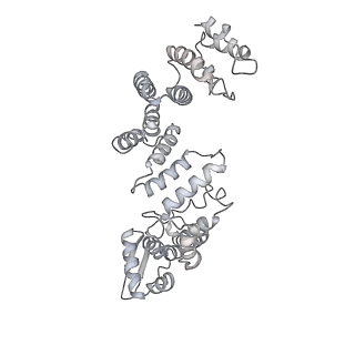 32281_7w3i_a_v1-1
Structure of USP14-bound human 26S proteasome in substrate-inhibited state SB_USP14