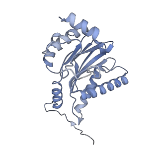 32281_7w3i_h_v1-1
Structure of USP14-bound human 26S proteasome in substrate-inhibited state SB_USP14